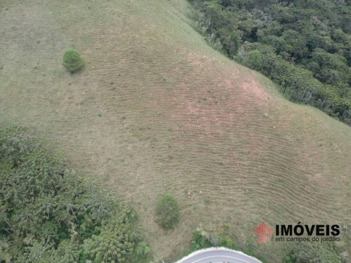 Área para Incorporação em Descansópolis, Campos do Jordão - foto 14