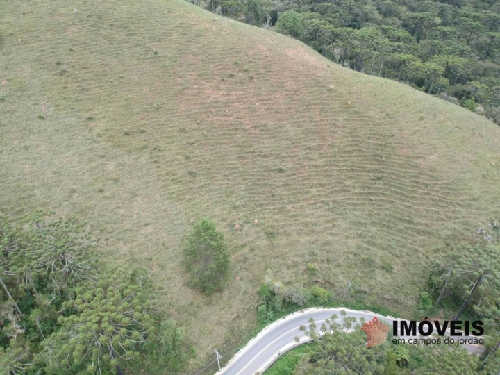 Área para Incorporação em Descansópolis, Campos do Jordão - foto 15