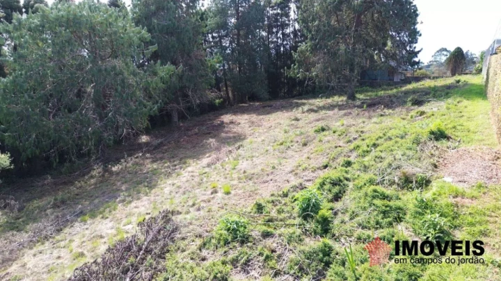 Terreno/Lote em Jardim Miraflores, Campos do Jordão - foto 6