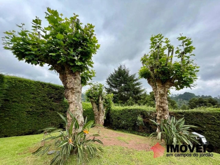 Casa em Vila Inglesa, Campos do Jordão - foto 40