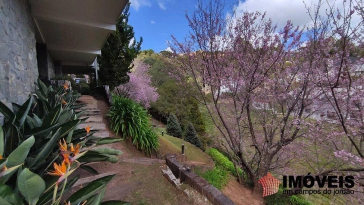 Casa em Descansópolis, Campos do Jordão - foto 10