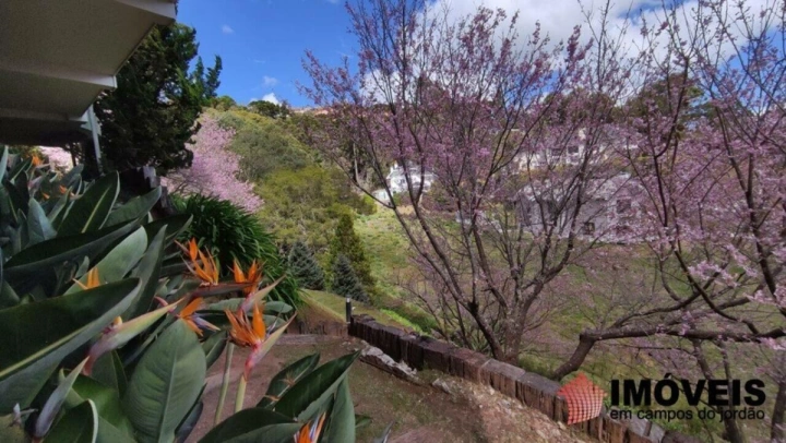 Casa em Descansópolis, Campos do Jordão - foto 11