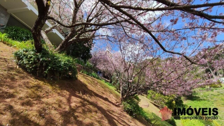 Casa em Descansópolis, Campos do Jordão - foto 14