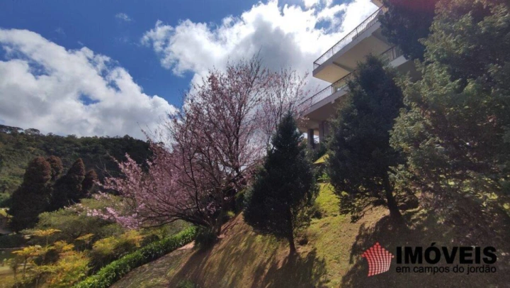 Casa em Descansópolis, Campos do Jordão - foto 15