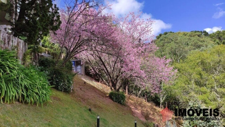 Casa em Descansópolis, Campos do Jordão - foto 17