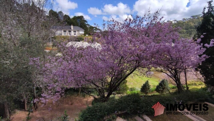 Casa em Descansópolis, Campos do Jordão - foto 18