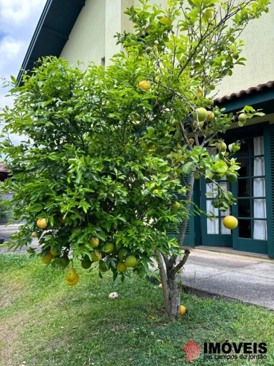 Casa em Vila Nova Suiça, Campos do Jordão - foto 20