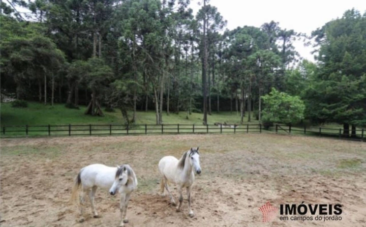 Haras em Jardim Cataguases, Campos do Jordão - foto 26