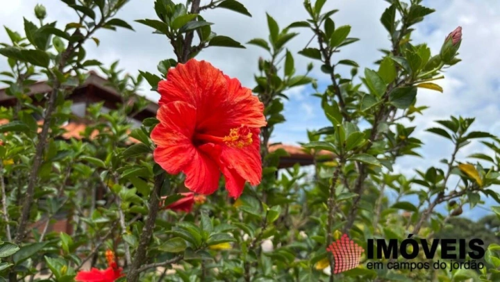 Sítio em São Bento do Sapucaí, Campos do Jordão - foto 33