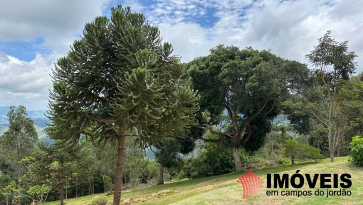 Sítio em São Bento do Sapucaí, Campos do Jordão - foto 34