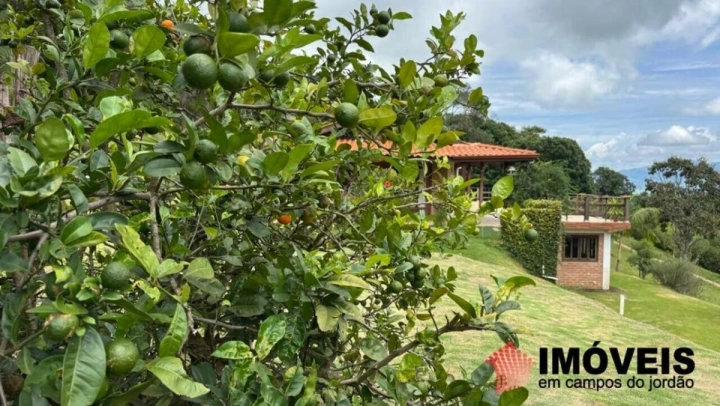 Sítio em São Bento do Sapucaí, Campos do Jordão - foto 38
