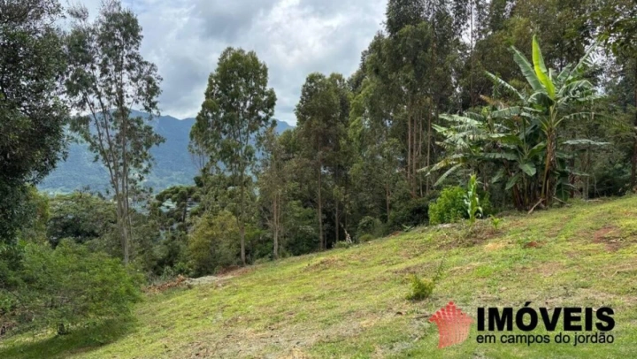 Sítio em São Bento do Sapucaí, Campos do Jordão - foto 40