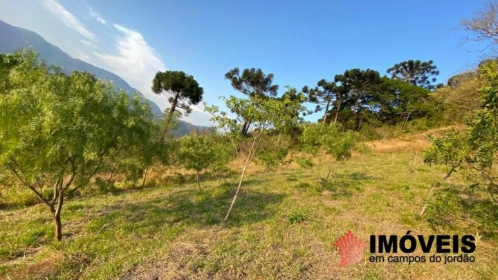 Sítio em Sapucaí Mirim, Campos do Jordão - foto 3