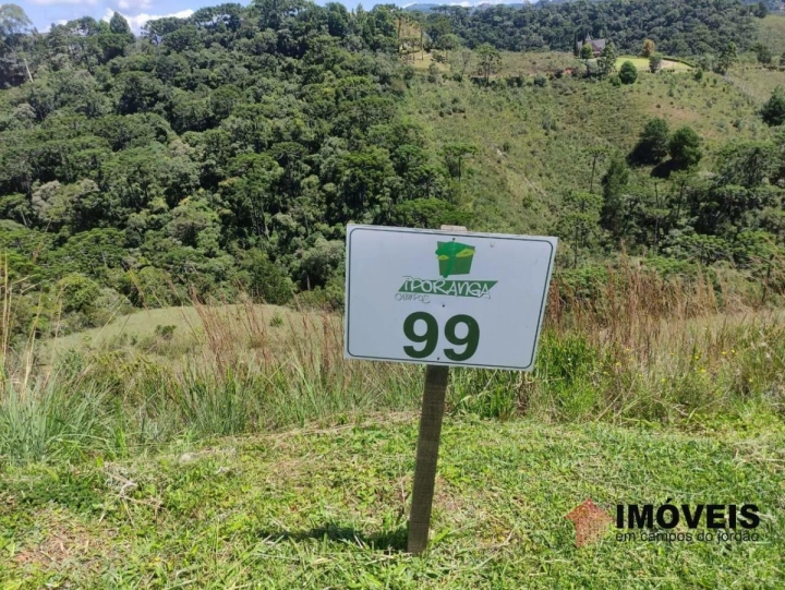 Terreno/Lote em Descansópolis, Campos do Jordão - foto 2