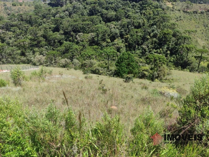 Terreno/Lote em Descansópolis, Campos do Jordão - foto 1