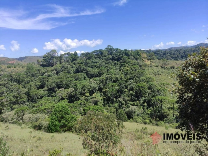Terreno/Lote em Descansópolis, Campos do Jordão - foto 1