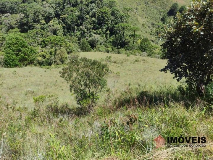 Terreno/Lote em Descansópolis, Campos do Jordão - foto 2