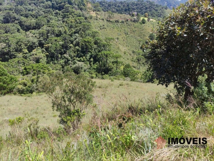 Terreno/Lote em Descansópolis, Campos do Jordão - foto 4