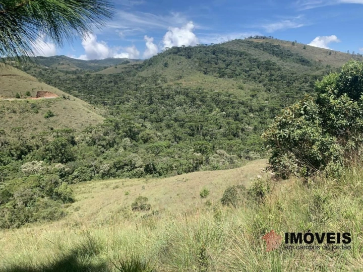 Terreno/Lote em Descansópolis, Campos do Jordão - foto 3