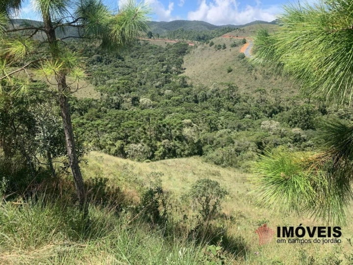 Terreno/Lote em Descansópolis, Campos do Jordão - foto 5