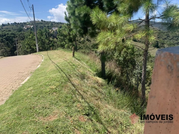 Terreno/Lote em Descansópolis, Campos do Jordão - foto 8