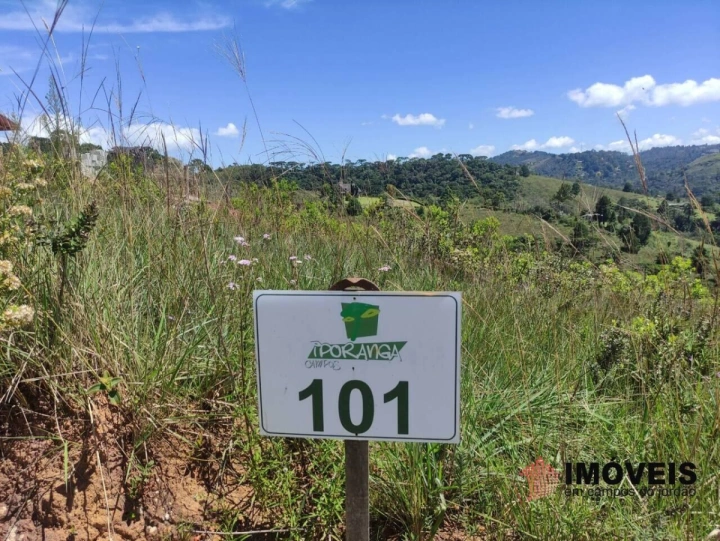Terreno/Lote em Descansópolis, Campos do Jordão - foto 3