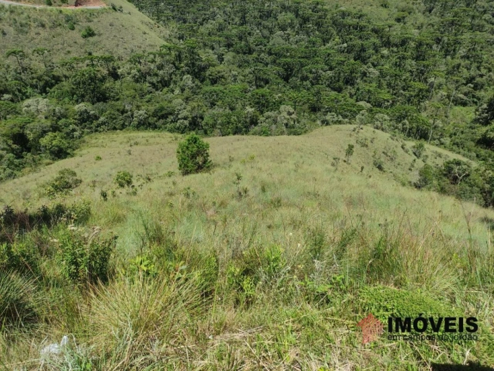 Terreno/Lote em Descansópolis, Campos do Jordão - foto 5