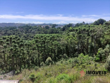 Terreno/Lote em Descansópolis, Campos do Jordão