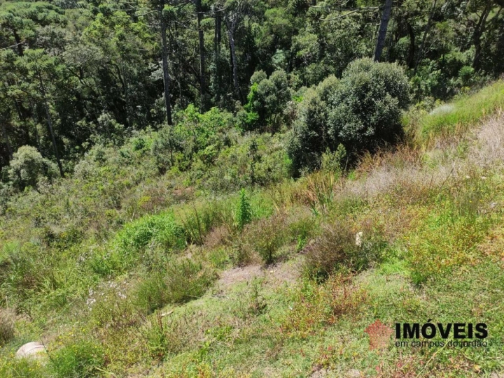 Terreno/Lote em Descansópolis, Campos do Jordão - foto 2