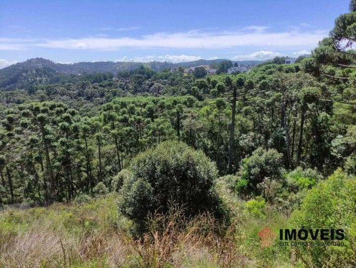 Terreno/Lote em Descansópolis, Campos do Jordão - foto 3