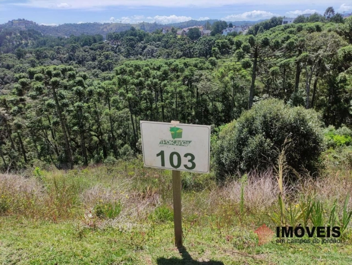 Terreno/Lote em Descansópolis, Campos do Jordão - foto 4