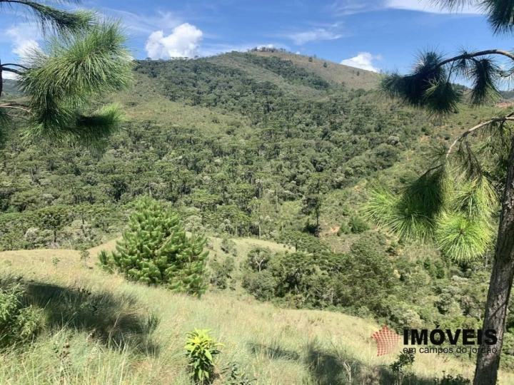Terreno/Lote em Descansópolis, Campos do Jordão - foto 1