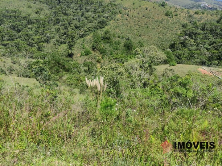 Terreno/Lote em Descansópolis, Campos do Jordão - foto 2