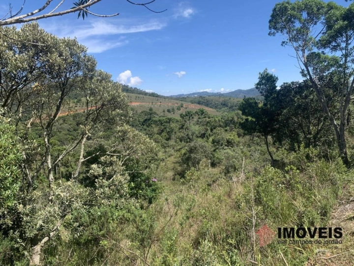 Terreno/Lote em Descansópolis, Campos do Jordão - foto 2