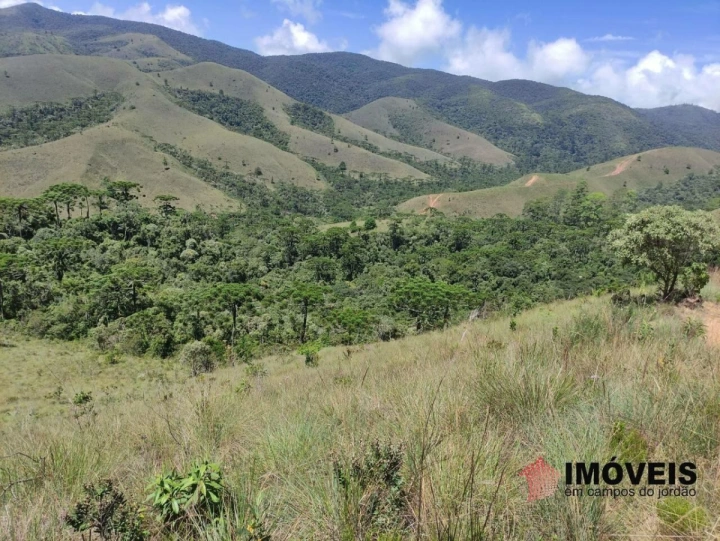 Terreno/Lote em Descansópolis, Campos do Jordão - foto 1
