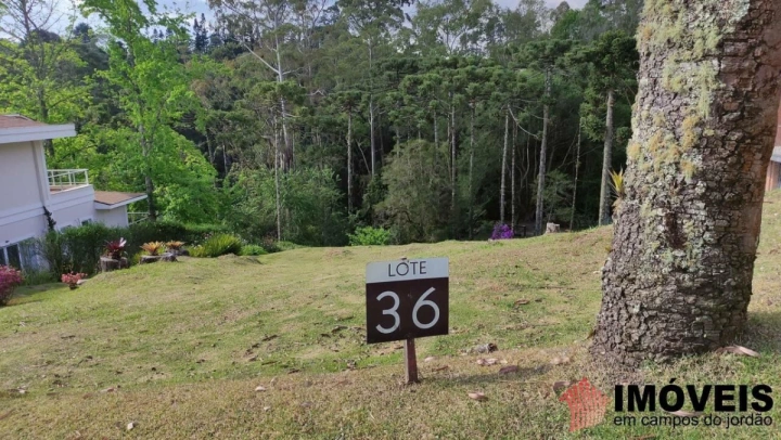 Terreno/Lote em Alto do Capivari, Campos do Jordão - foto 40