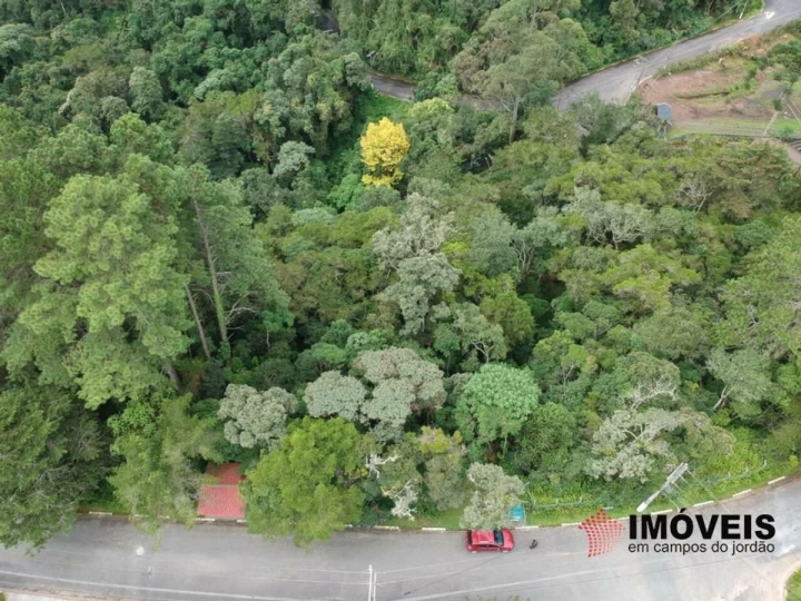 Terreno/Lote em Alto do Capivari, Campos do Jordão - foto 4