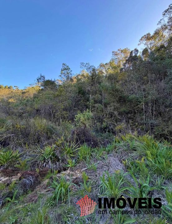 Terreno/Lote em Gran Ville, Campos do Jordão - foto 3