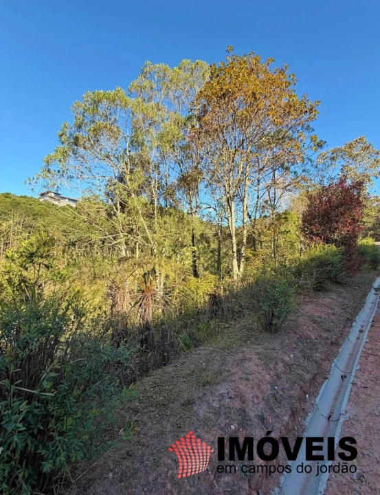 Terreno/Lote em Gran Ville, Campos do Jordão - foto 4