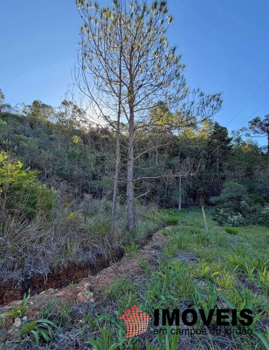 Terreno/Lote em Gran Ville, Campos do Jordão - foto 5