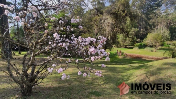 Terreno/Lote em Alto do Capivari, Campos do Jordão - foto 42