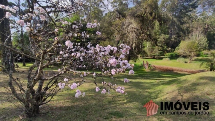 Terreno/Lote em Colinas de Capivari, Campos do Jordão - foto 15