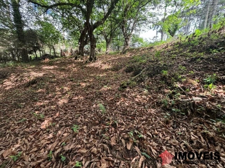Área para Incorporação em Descansópolis, Campos do Jordão - foto 39