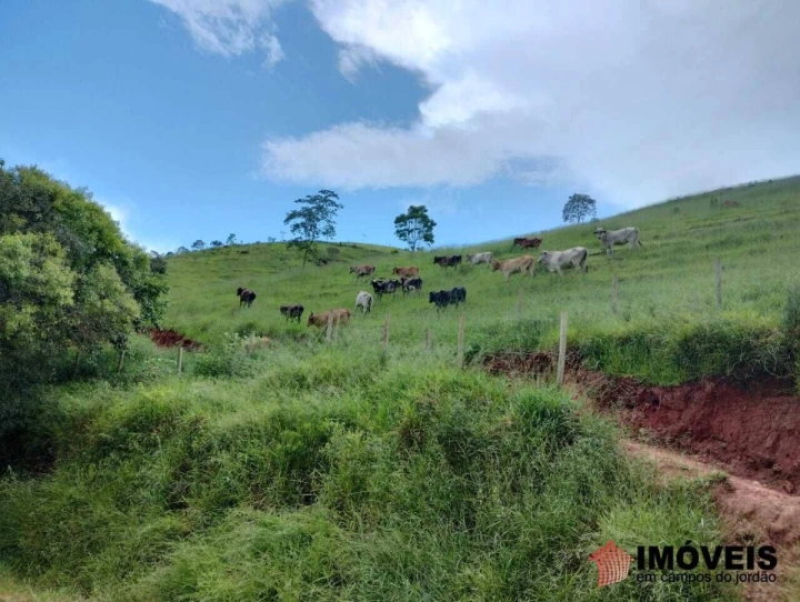Sítio em Pinheirinho, Redenção da Serra - foto 7