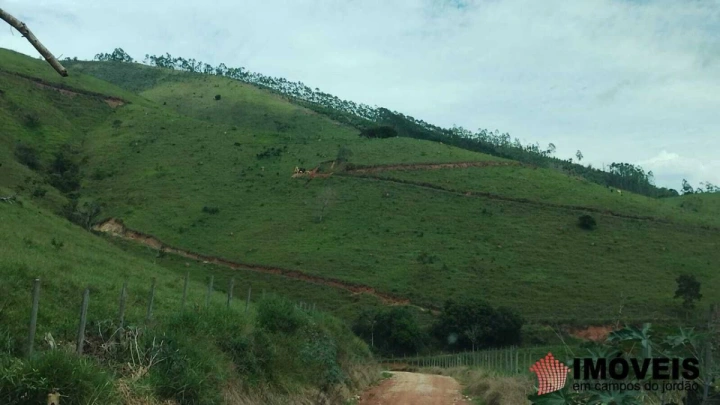 Sítio em Pinheirinho, Redenção da Serra - foto 8