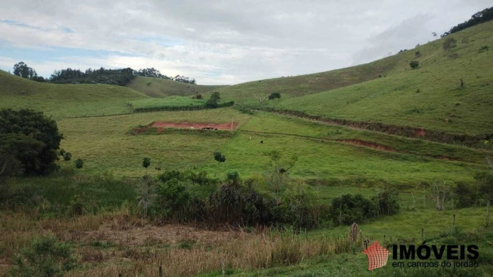 Sítio em Pinheirinho, Redenção da Serra - foto 14