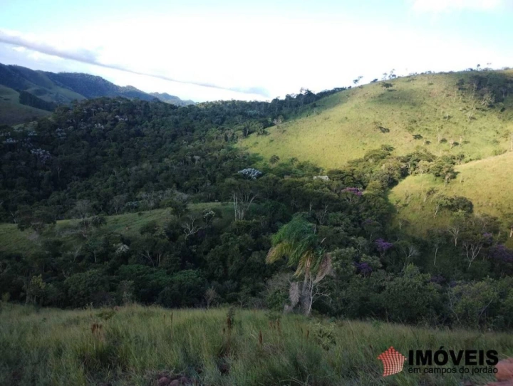 Sítio em Pinheirinho, Redenção da Serra - foto 20