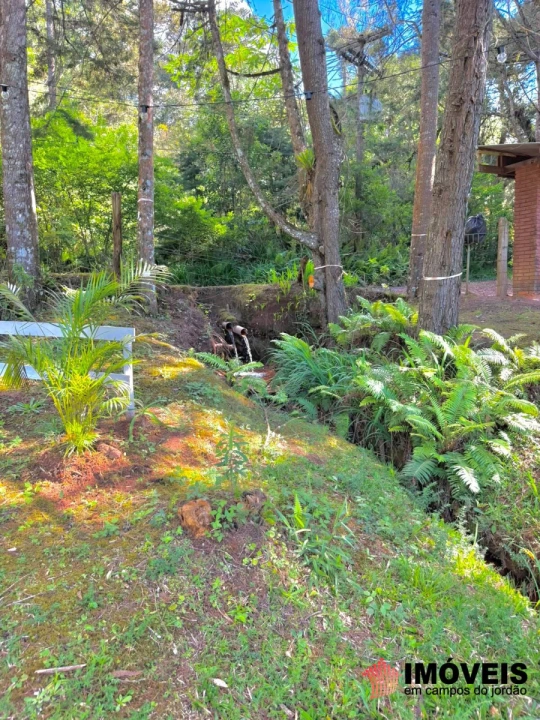 Casa em Vila Chantal, Campos do Jordão - foto 12